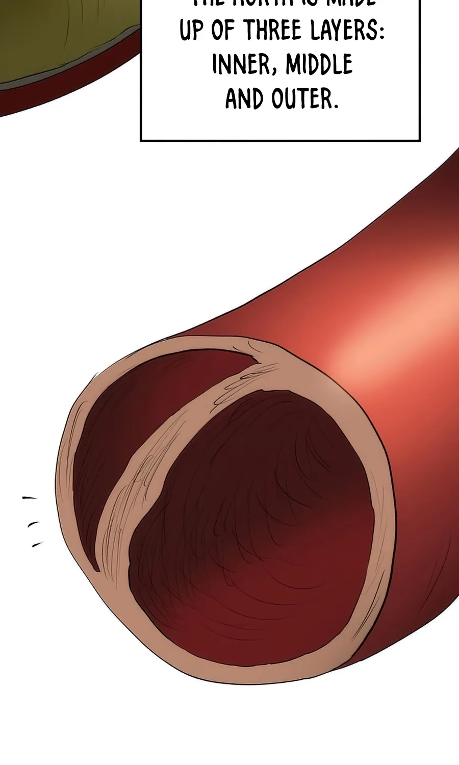 Read Doctor, Live Again EN Manga Online