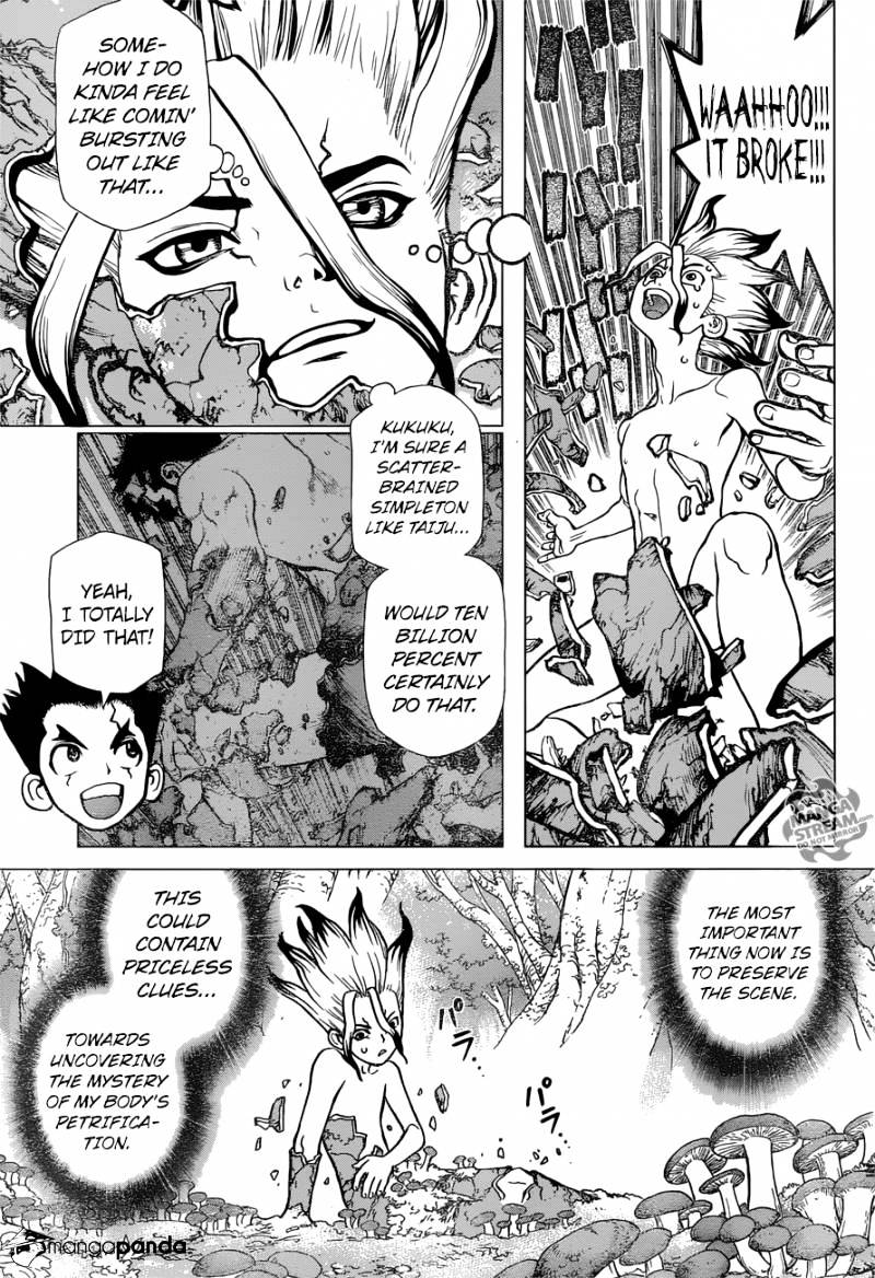 Read Dr. Stone EN Manga Online