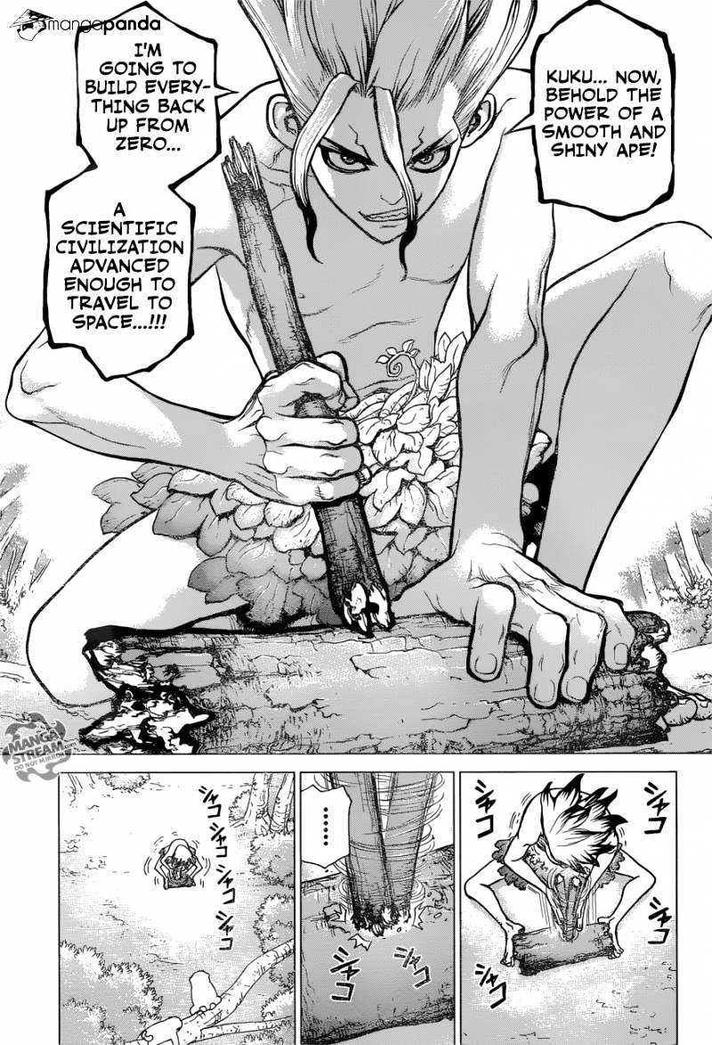 Read Dr. Stone EN Manga Online