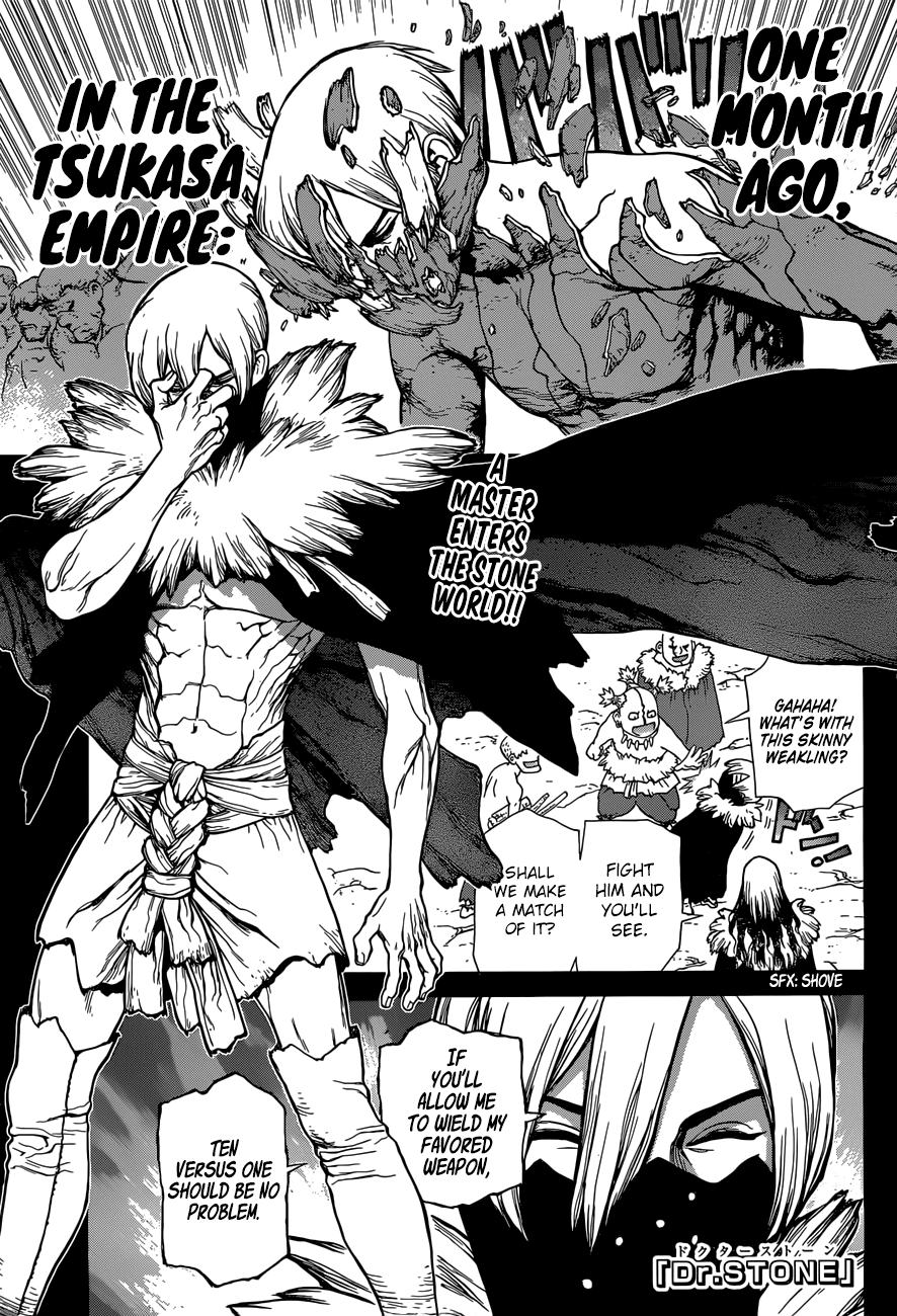 Read Dr. Stone EN Manga Online