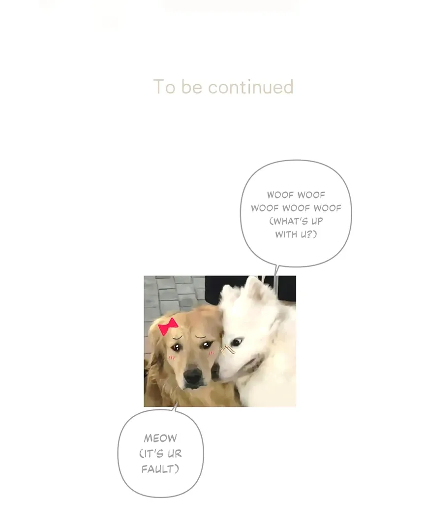 Read Love by Mistake EN Manga Online