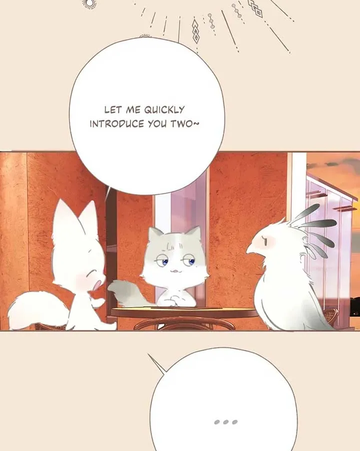 Read Love by Mistake EN Manga Online