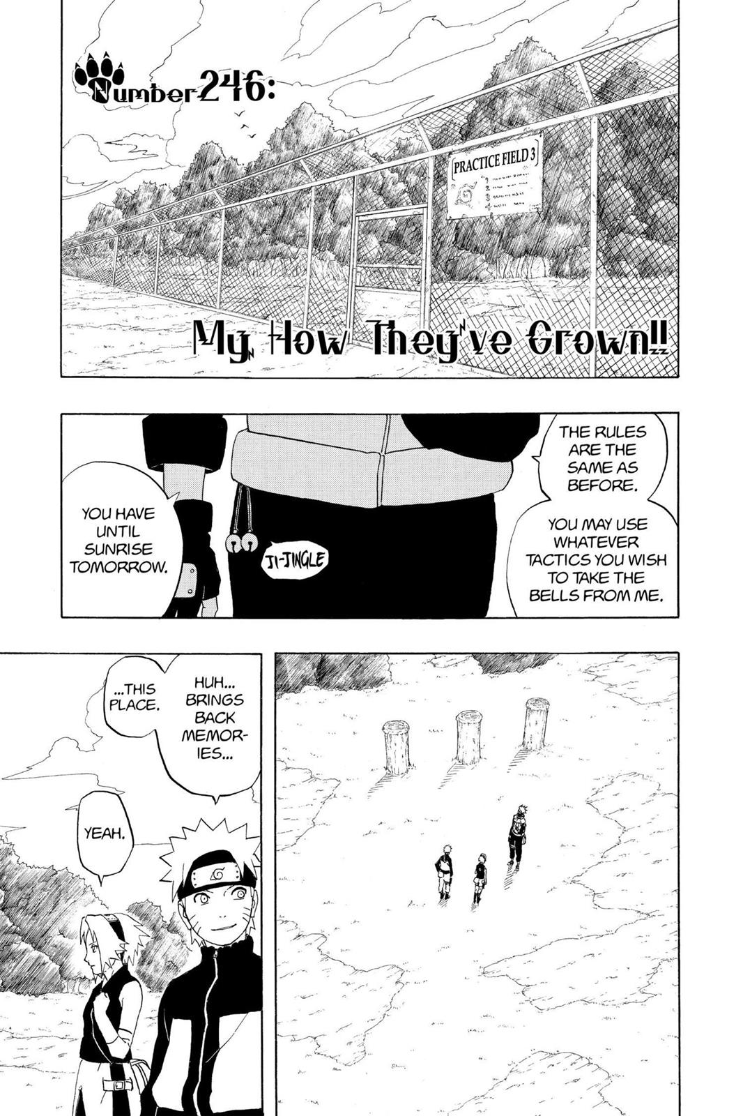 Read Naruto EN Manga Online