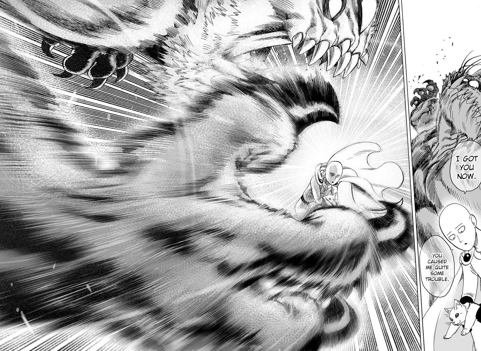 Read One Punch Man EN Manga Online