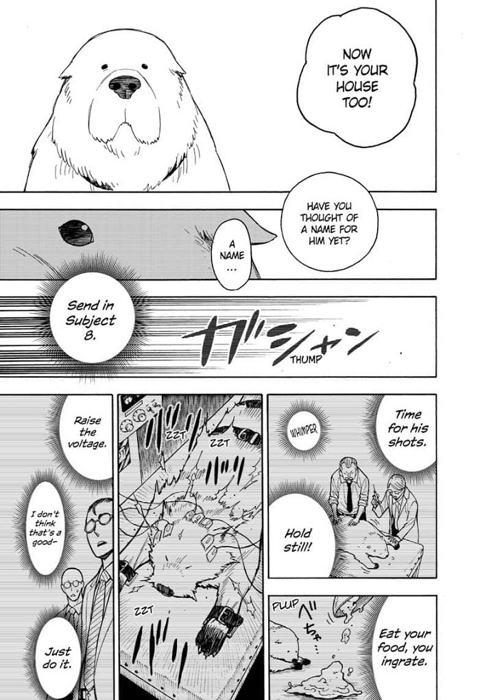Read SPY x FAMILY EN Manga Online