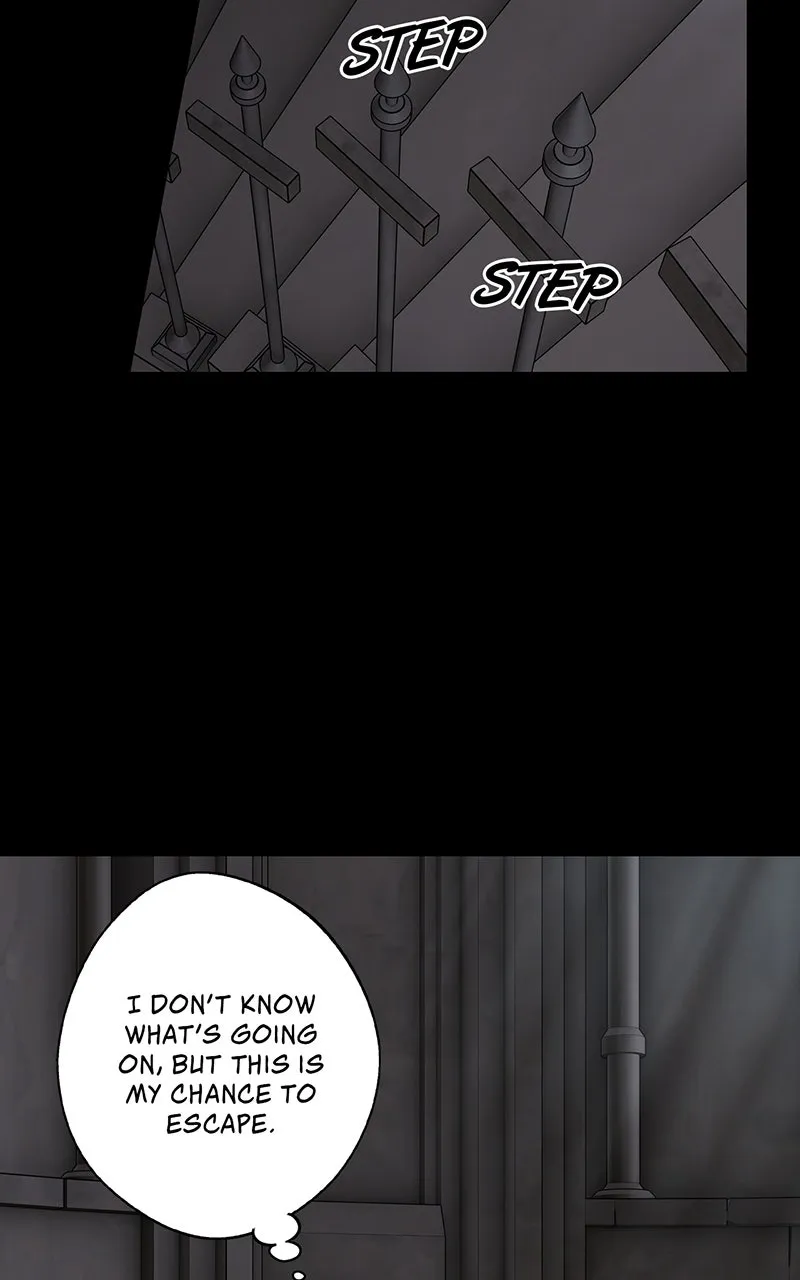 Read The Spark in Your Eyes EN Manga Online