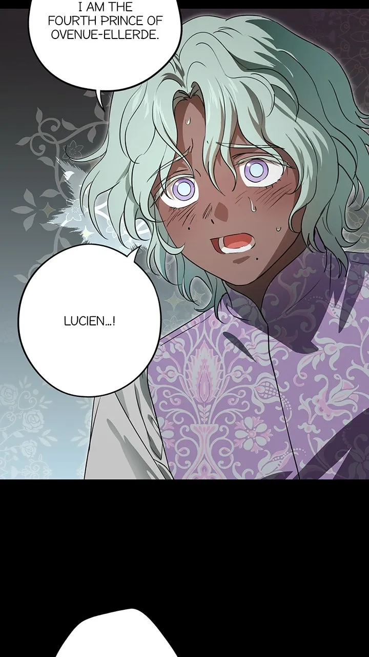 Read The Spark in Your Eyes EN Manga Online