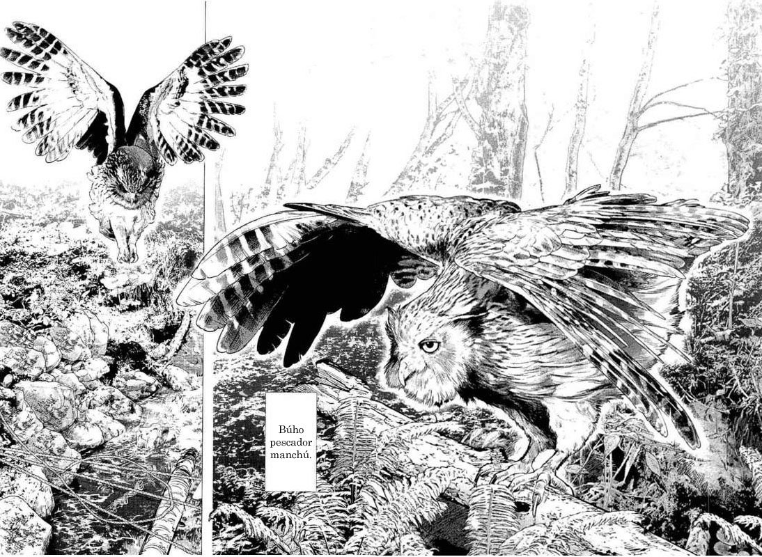 Read Golden Kamuy ES Manga Online