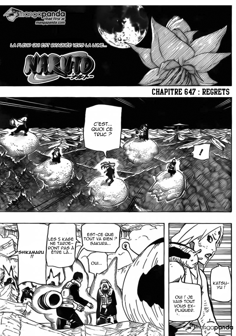 Read Naruto FR Manga Online