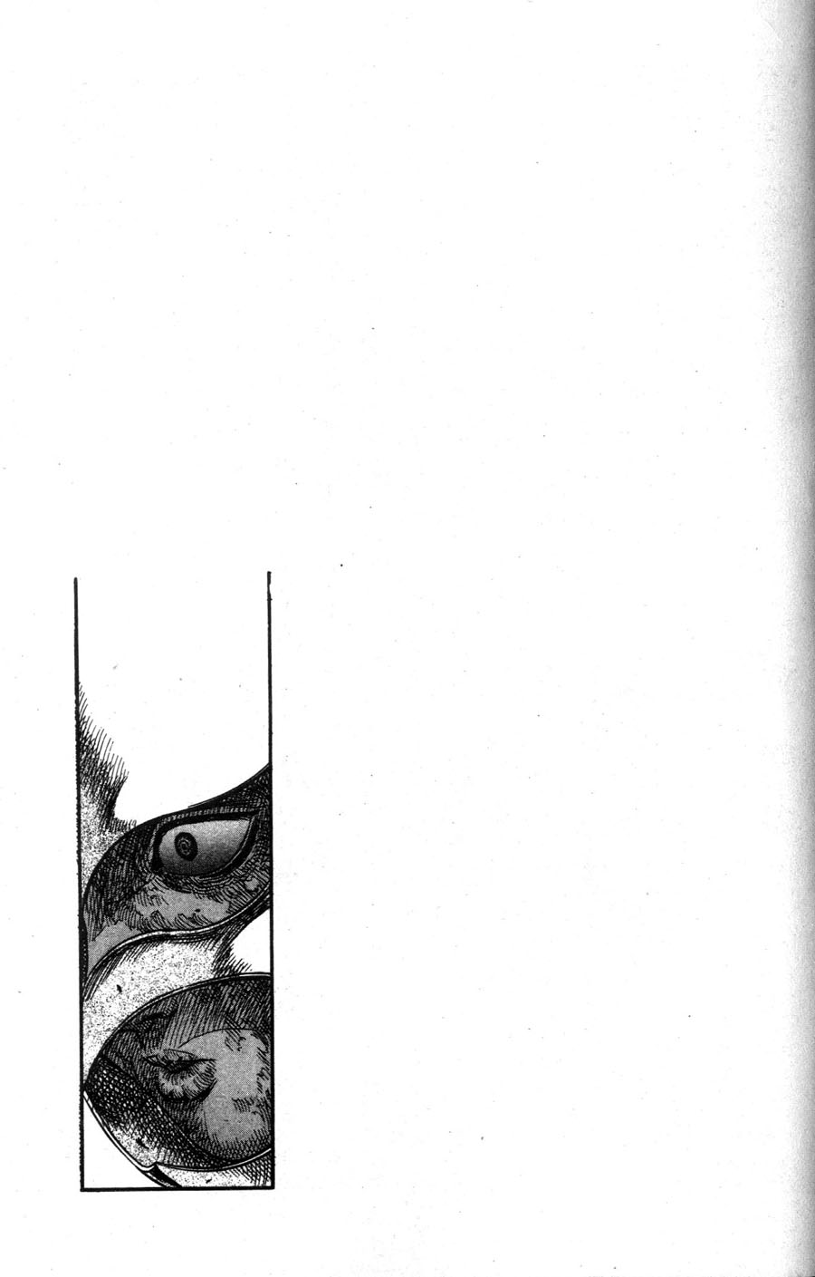 Read Berserk IT Manga Online